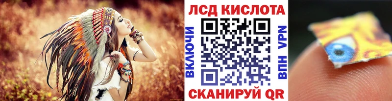 Наркотические марки 1,5мг  omg как войти  Бердск  купить наркоту 