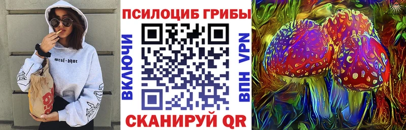 Псилоцибиновые грибы MAGIC MUSHROOMS  MEGA рабочий сайт  Бердск 