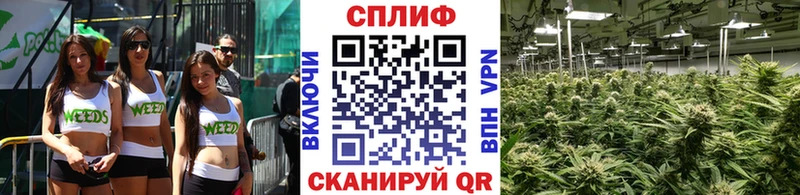 как найти   Бердск  Канабис Bruce Banner 