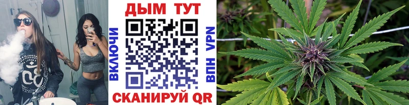 Конопля план Бердск